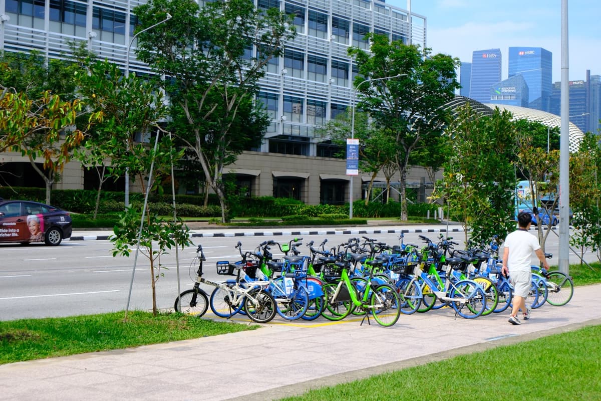 Shared bikes, borrowed skyline