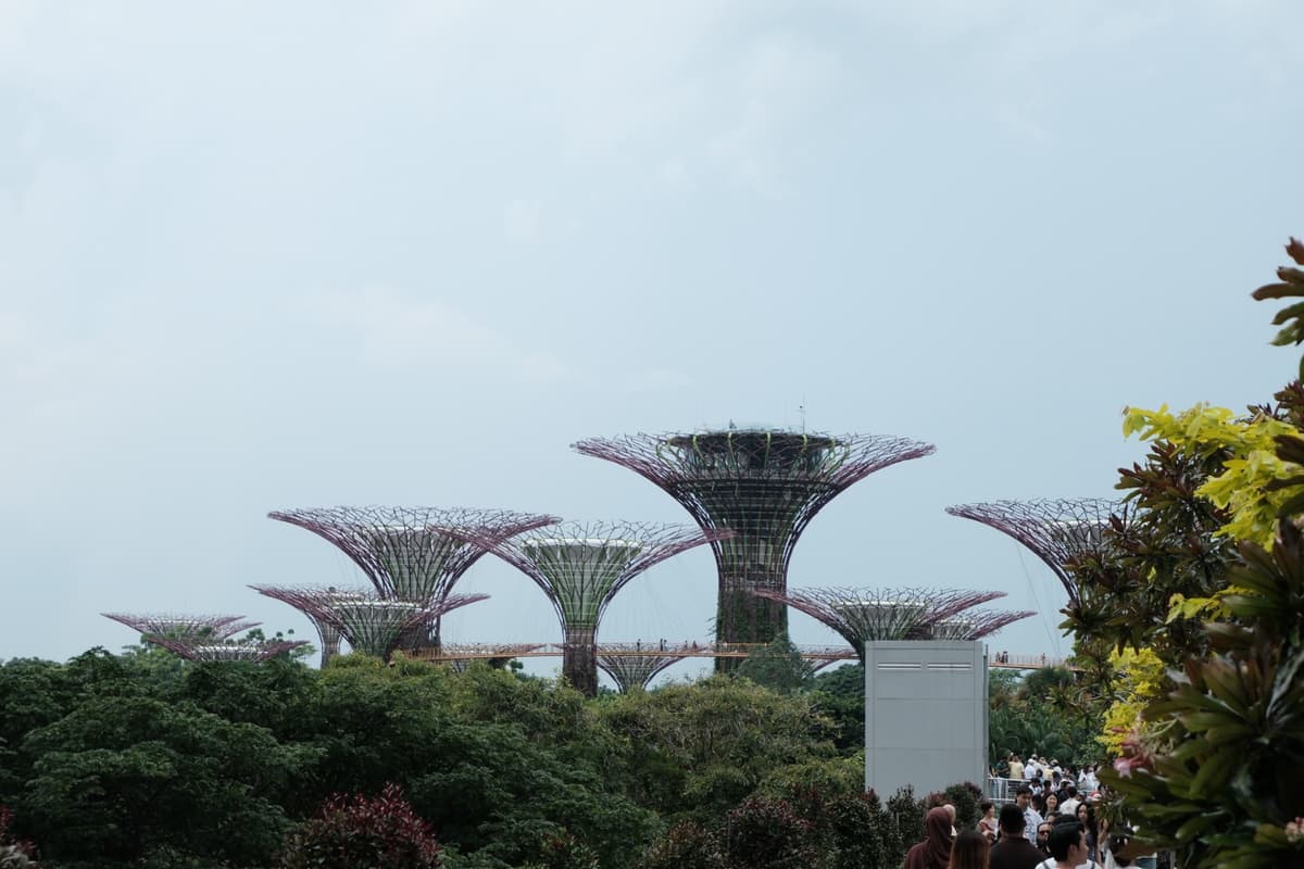 Supertrees from the walkway